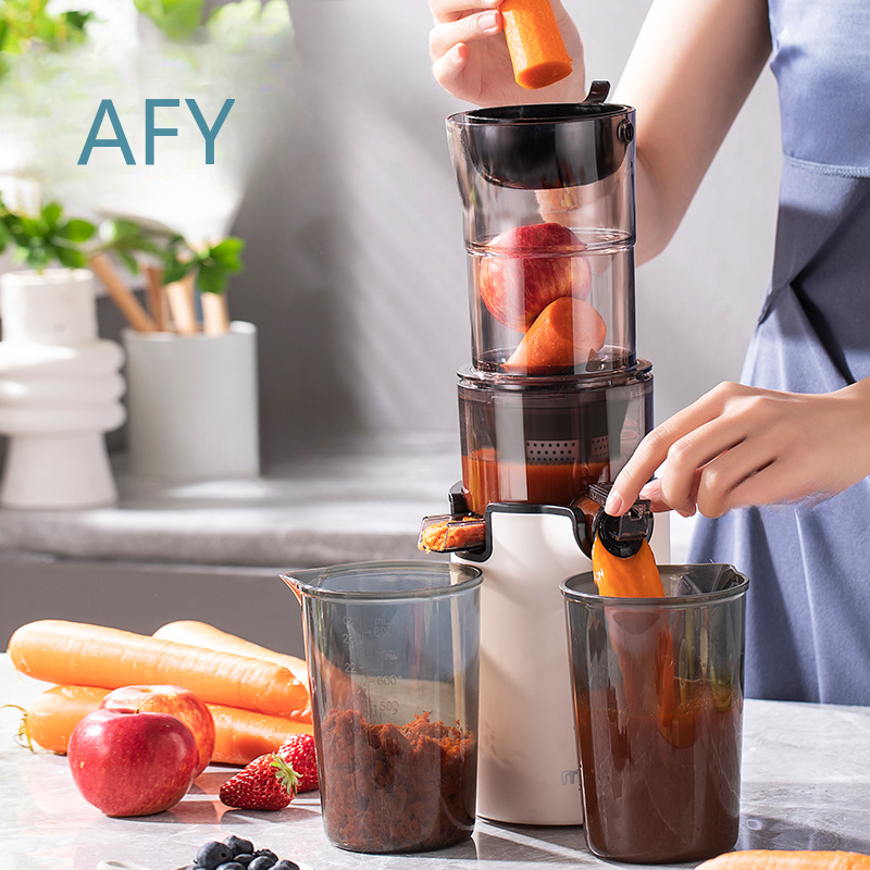 220V Electric Slow Juicer for  - Electric Slow Juicer Cold Press review and price