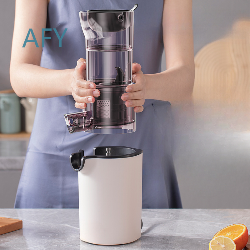 220V Electric Slow Juicer for  - Electric Slow Juicer Cold Press review and price