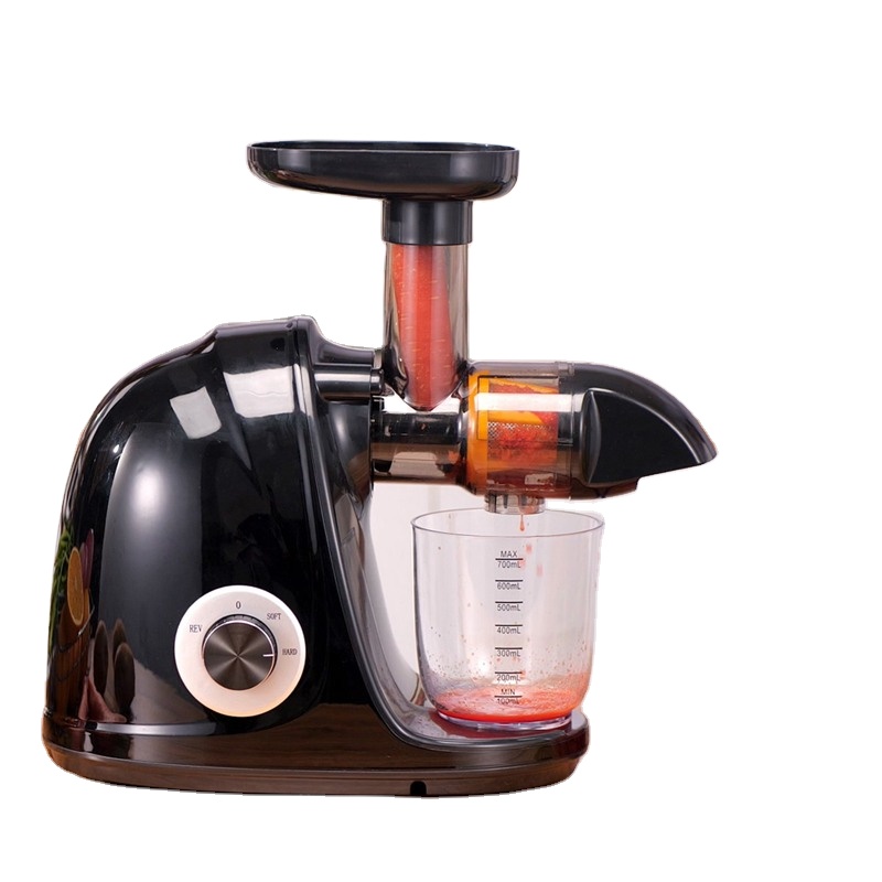 2026-Black Horizontal Slow Jui - Electric Slow Juicer Cold Press review and price