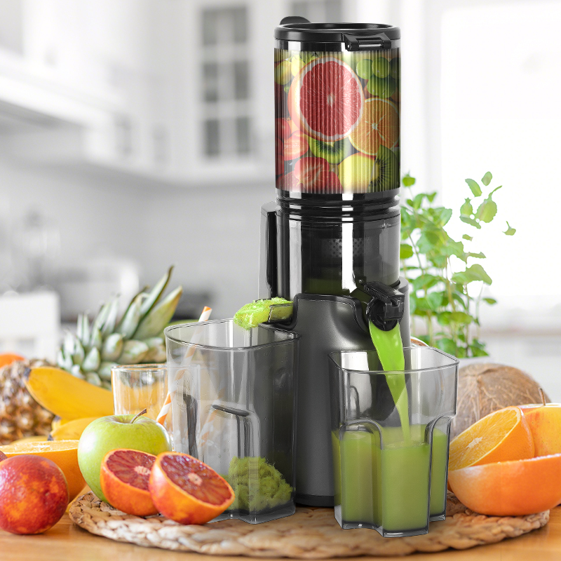 Tolife Slow Masticating Cold P - Electric Slow Juicer Cold Press review and price