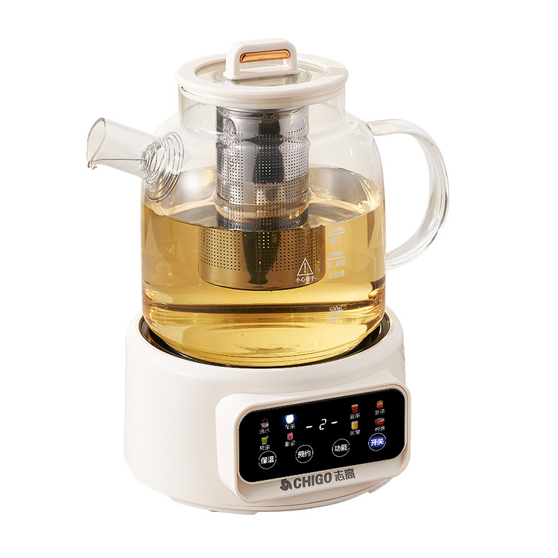 600W Multi-function Health Ket - Electric Kettle Temperature Control review and price