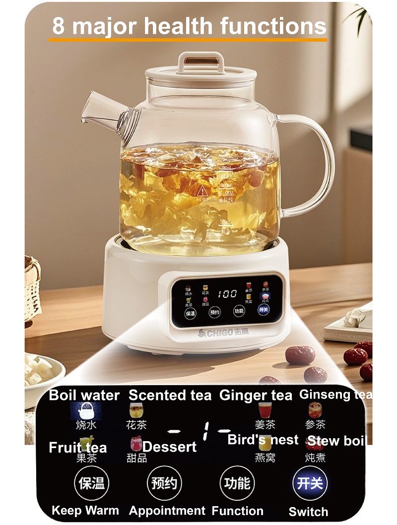 600W Multi-function Health Ket - Electric Kettle Temperature Control review and price