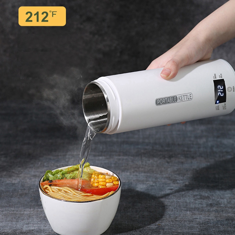 DT39 Portable Travel Electric  - Electric Kettle Temperature Control review and price