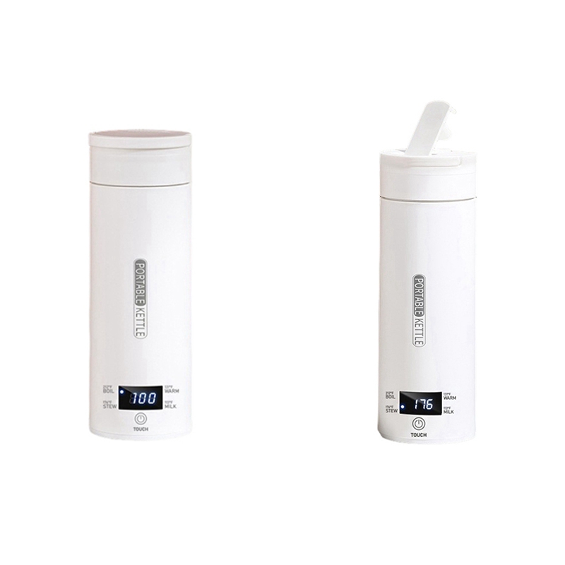 DT39 Portable Travel Electric  - Electric Kettle Temperature Control review and price